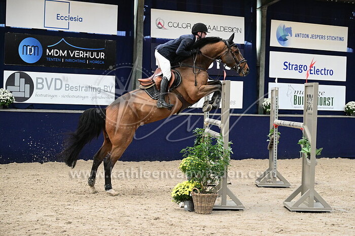 Tobias Luikens - Ninorado