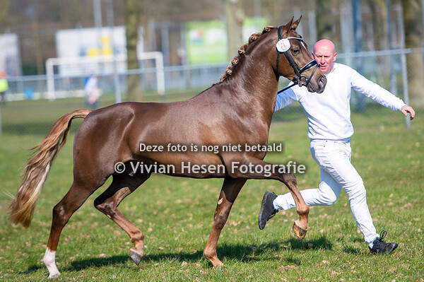 Her- en Nakeuring NWPCS