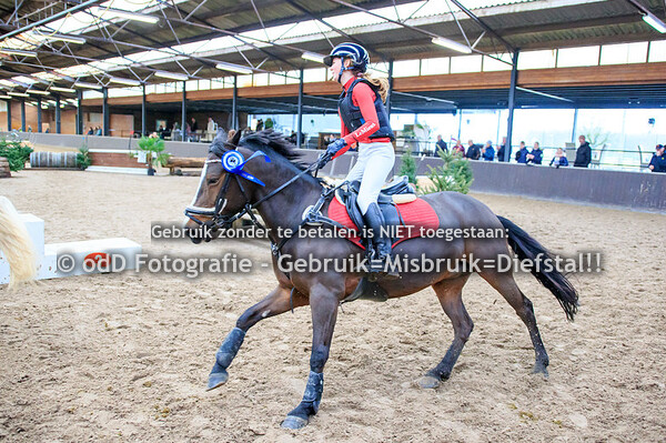 Indoor SGW De Mortel Cross Pony B-DE 30-12-23