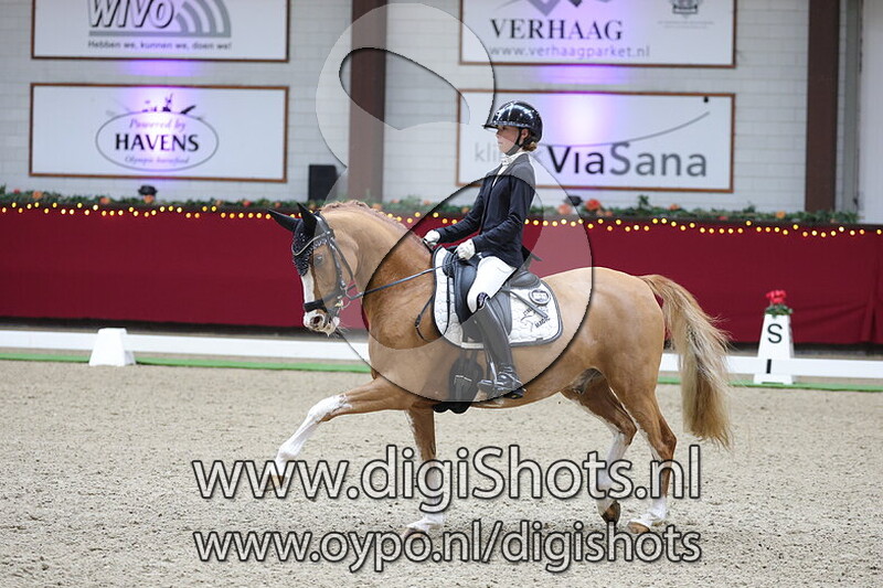 Lykkehoejs Bodypaint