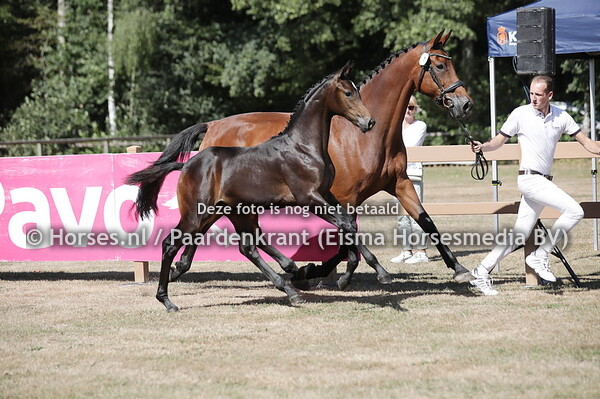 1 Sunshine Utopia (Next Romancier x Vivaldi)