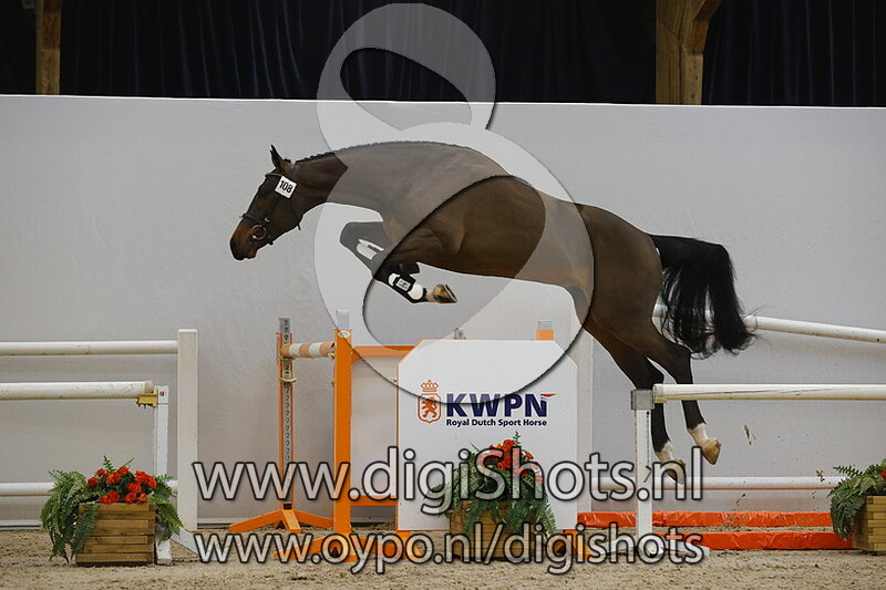 Hardcore Z v. Hardrock Z