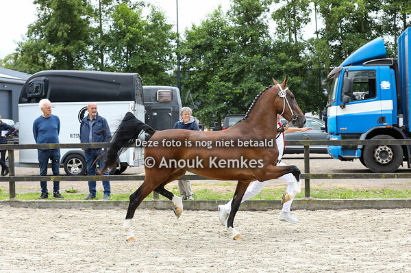Selvira van Toos ( Magnifiek x Larix )