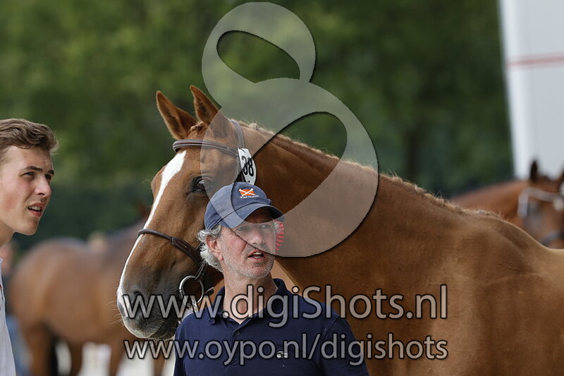 Tessa vd Elshof TN v. Eldorado van de Zeshoek TN