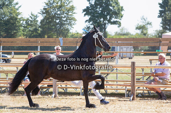 110. Yip fan Nico Stables