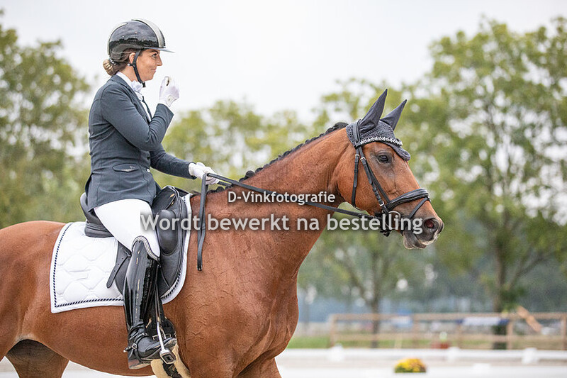 Lindsay van der Zalm - Lady of Wild Rose