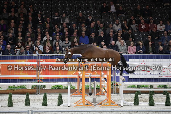 177 Matcho des Fontaines (Jumpy des Fontaines x Democraat x Indoctro)