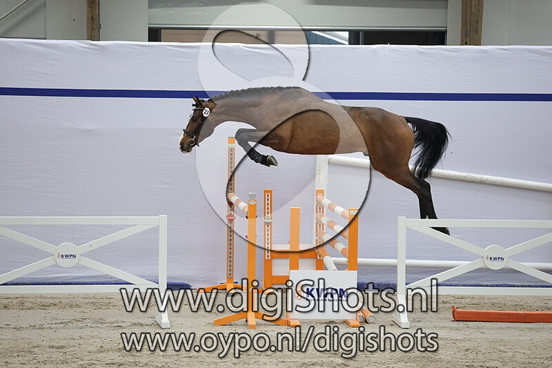 Chac VI Cuptric van Beek Z