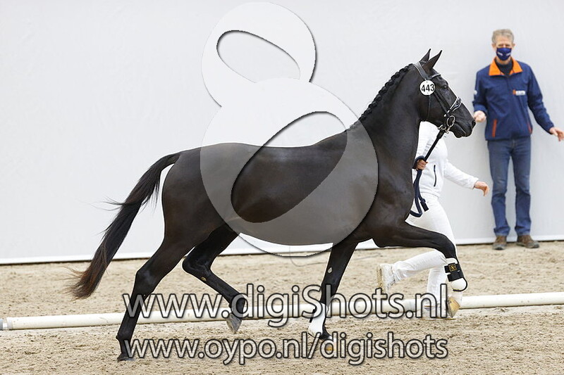 Nero v. Glock's Toto Jr