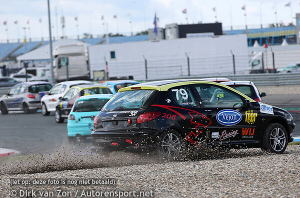 Peugeot 206 GTI Cup