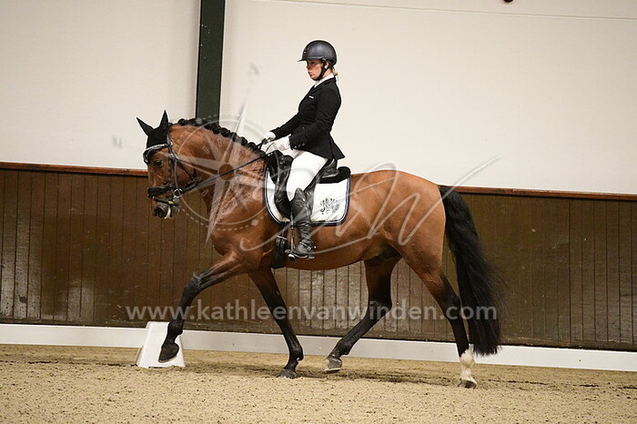 Danielle van der Laar - Rector Quin