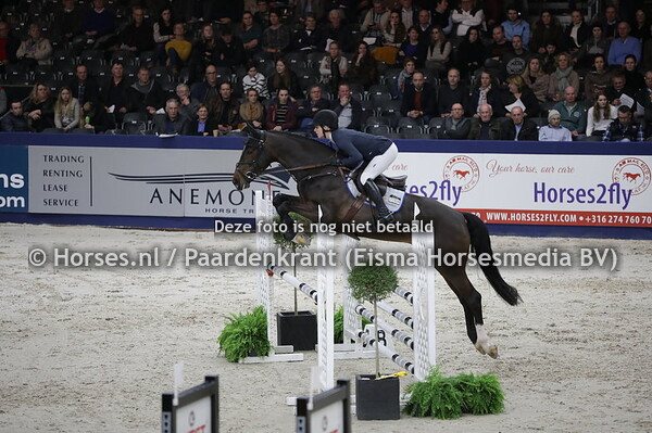 Kensington ES (v. Cornet Obolensky) Caroline Müller (1)