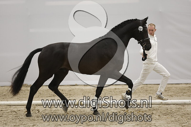 Platinum L v. Livius - 501