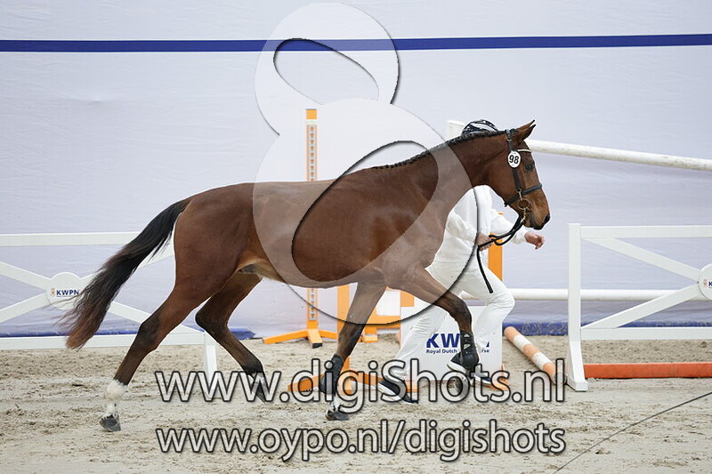 Tobian op de Roosakkers