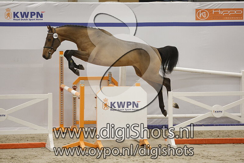 Royal Pomelo v. Tangelo Van De Zuuthoeve - 146