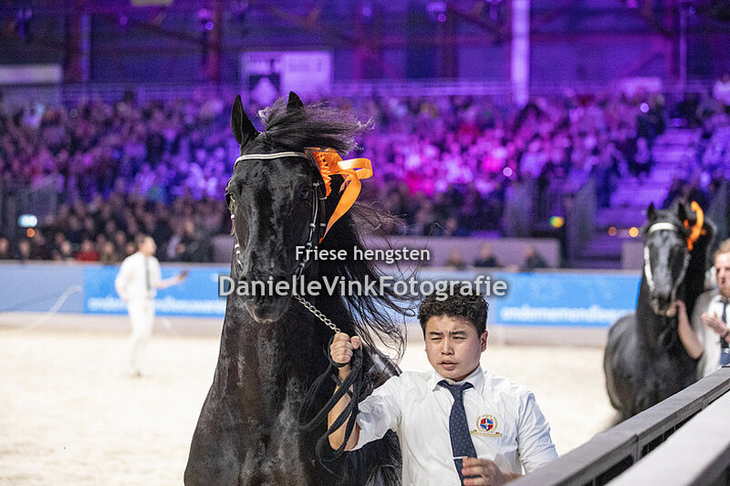 Hengstenkeuring 2024 Tiede 501