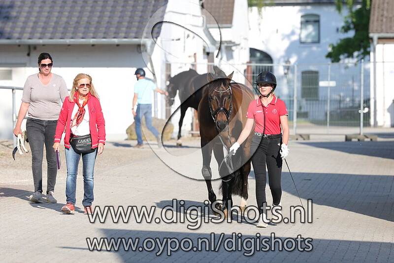 Guapo Y Jailoso vd Halderhoeve