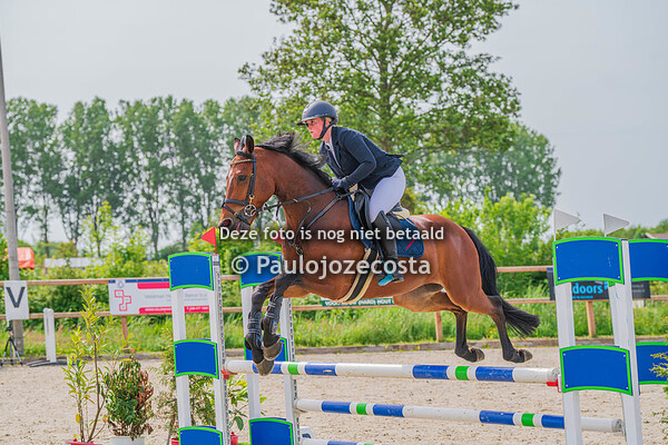 Pinkster Concours Ijsselmuiden 80/90cm