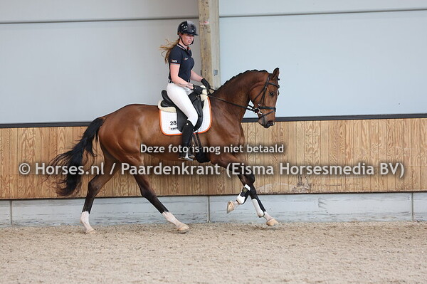 28 Samora (Hermes x Vamora v. Florestan I)