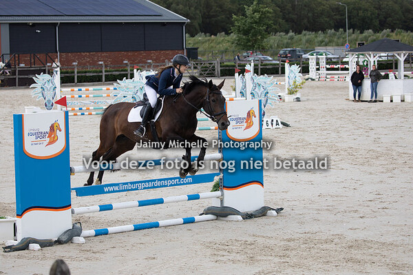 Lieke van Wijlick - Davinci