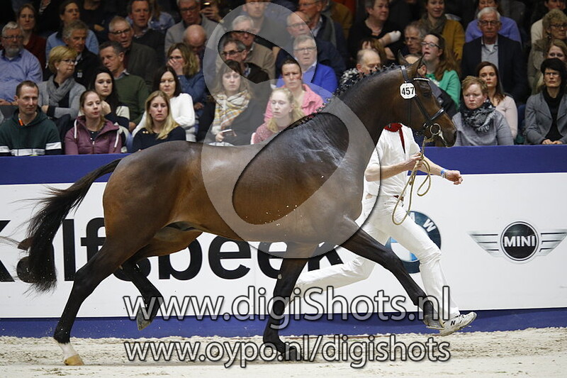 Leopard M v. Gotcha Utopia