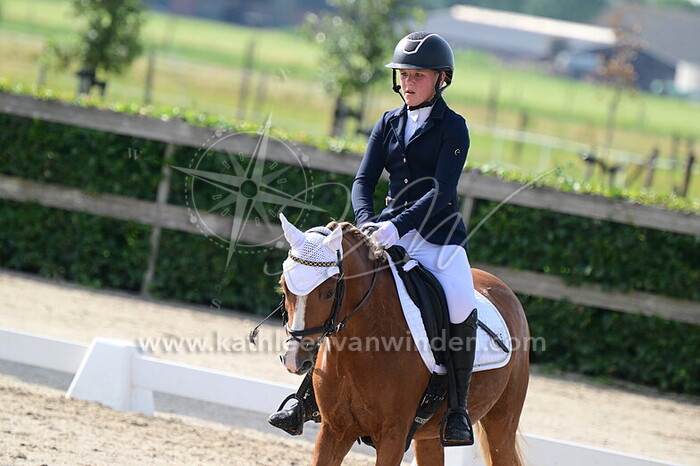 Dieke van Driel - Joy