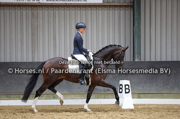 14 juli 2020 Stamboekkeuring + IBOP Brummen