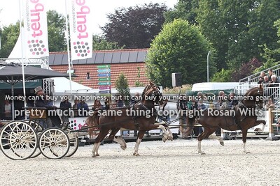 Eext25 klavertje drie