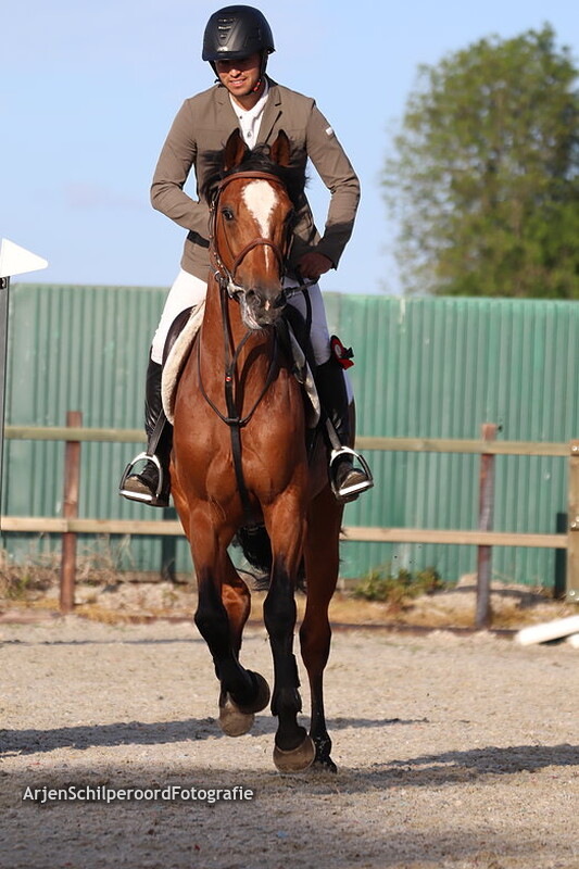 Hippisch Festijn PSV Polarfürst 24-05-2019 B Progressief Prijsuitreiking