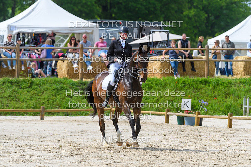 D3 Dressuur Klasse ZZ-L