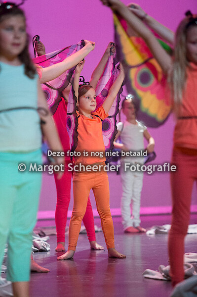 15. Rupsen en verandering