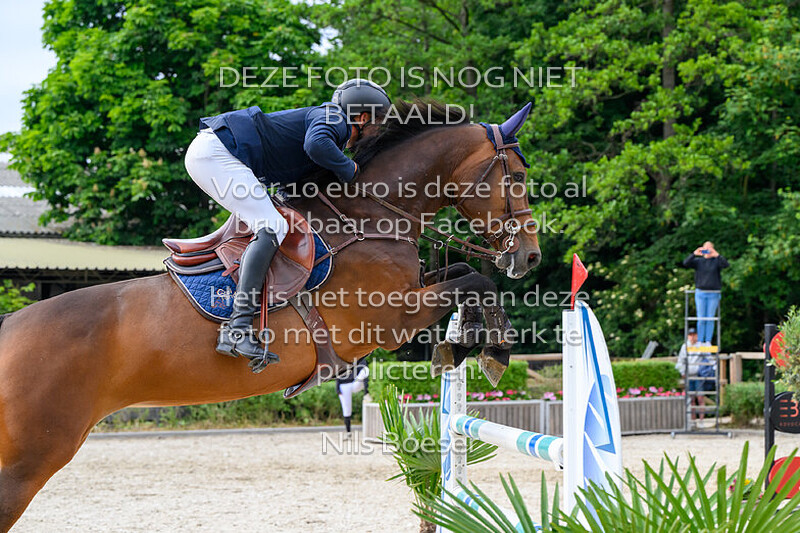 16 Klassiek paarden 1.30 m MB-ZB