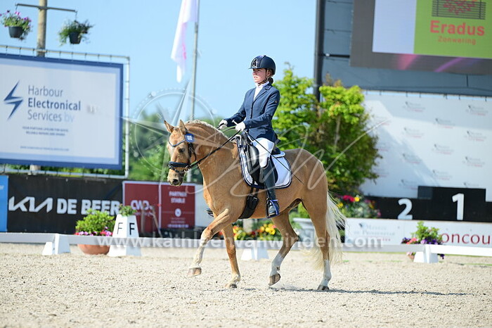 Wendy Verweij - Golden Diamond