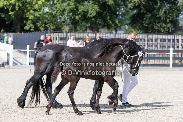 46. Felina fan D'Oever