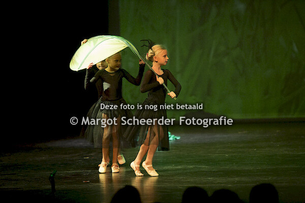 06. Insecten zaterdag