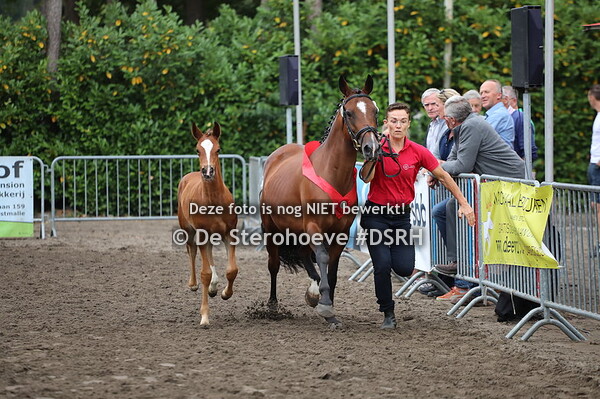 BRP kleine en grote maat