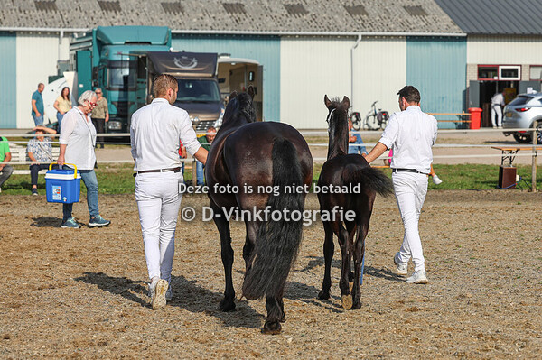 14. Eabeltsje fan oan it Spoarwei