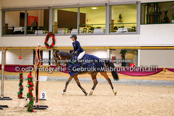 NY Jumping Warredal Finals 7y Horses 08-01-22