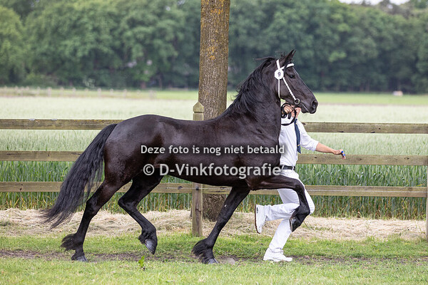3. Premiekeuring 4 jaar e.o. veulenboekmerries