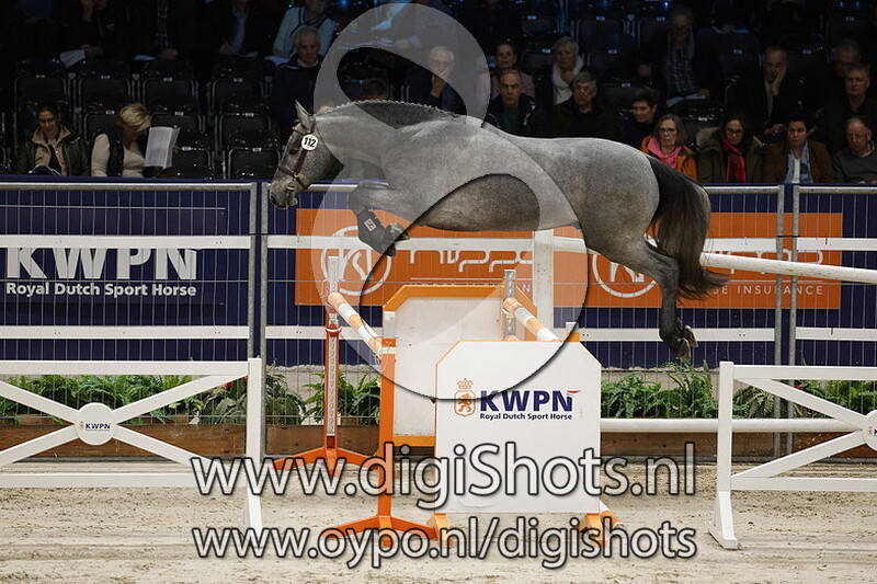 Radetski v. Lifeguard - 112