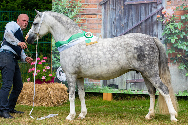 Regionalschau Weser Ems