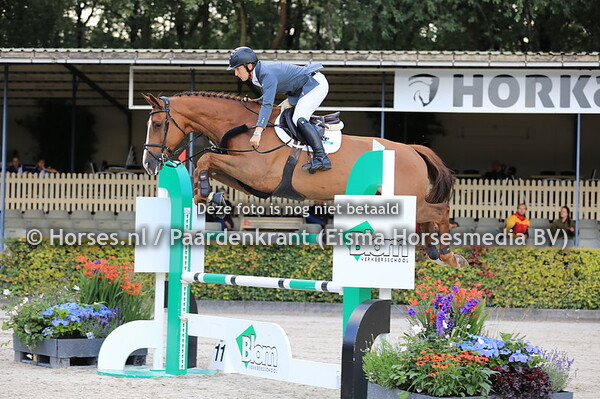 405 Harwich VDL v Arezzo