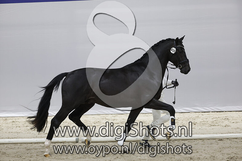 O Lord v. Glock's Toto Jr