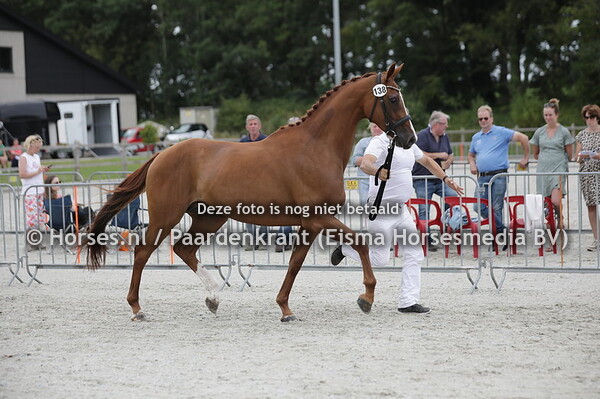 138 Nori B Fabulous (Dettori x Absolutely Fabulous v. Houston)