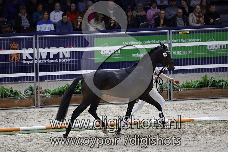 Rembrandt M v. Blue Hors Monte Carlo Tc - 304