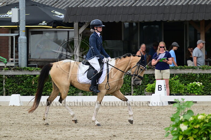 Naomi Wiggelinkhuijsen - Ivy