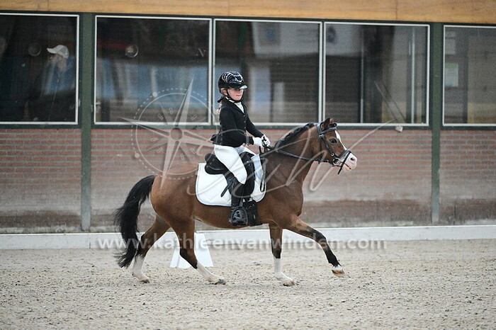 Romee Scheerder - Cuppers Montana