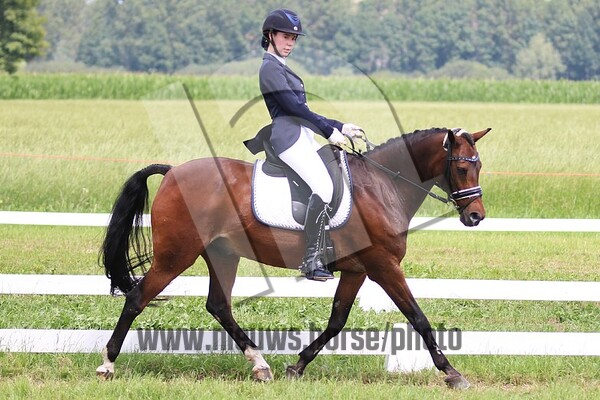 Dressuur 19 juli Zevenaar (9.45 tot 12.00u)