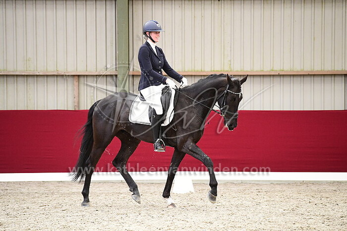 Steyntje Dekkers - Now Or Never