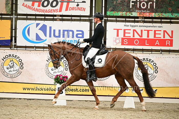 Damian van Son - Real Dream Texel